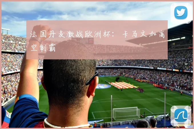 法国丹麦激战欧洲杯：卡马文加高空制霸
