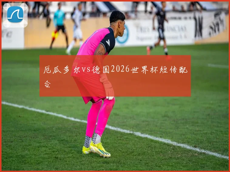 厄瓜多尔vs德国2026世界杯短传配合